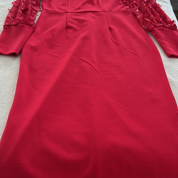 Red Dress - Picture 4 of 8